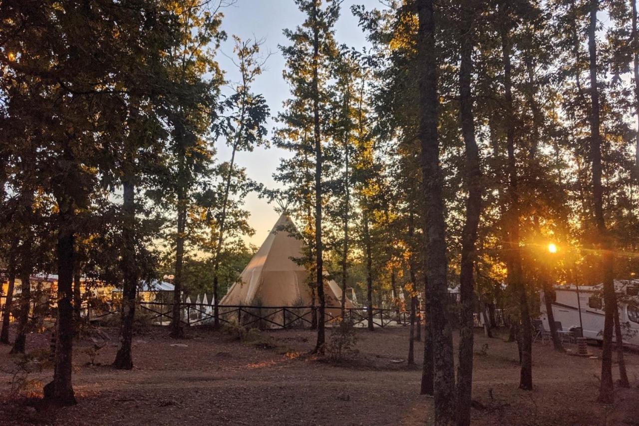 Camping Orlando In Chianti Glamping