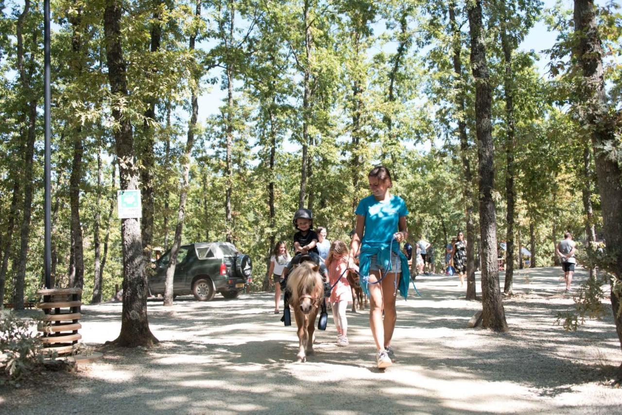 Orlando In Chianti Glamping Camping Cavriglia